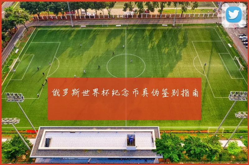 俄罗斯世界杯纪念币真伪鉴别指南