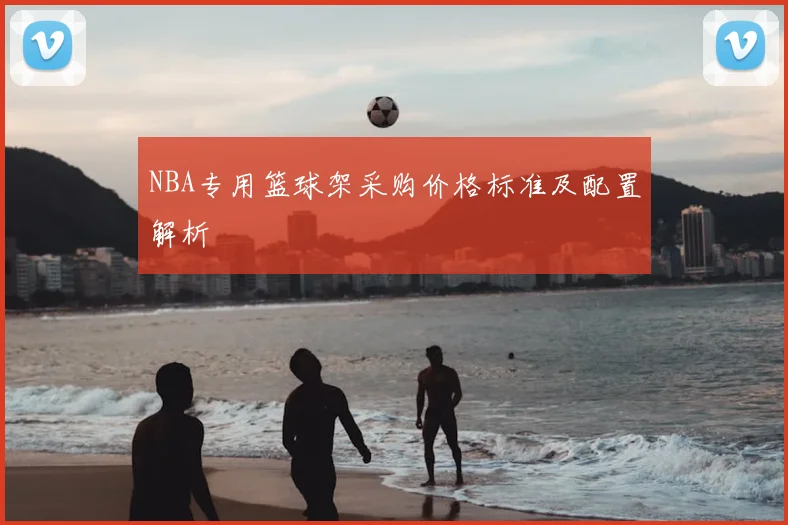 NBA专用篮球架采购价格标准及配置解析