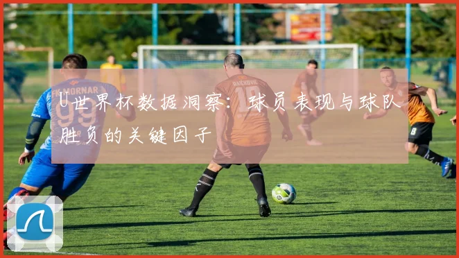 U世界杯数据洞察：球员表现与球队胜负的关键因子