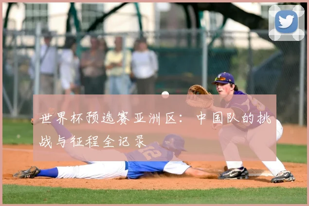 世界杯预选赛亚洲区：中国队的挑战与征程全记录