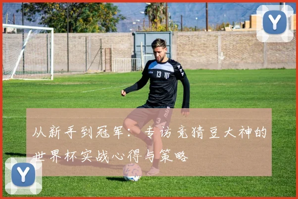 从新手到冠军：专访竞猜豆大神的世界杯实战心得与策略