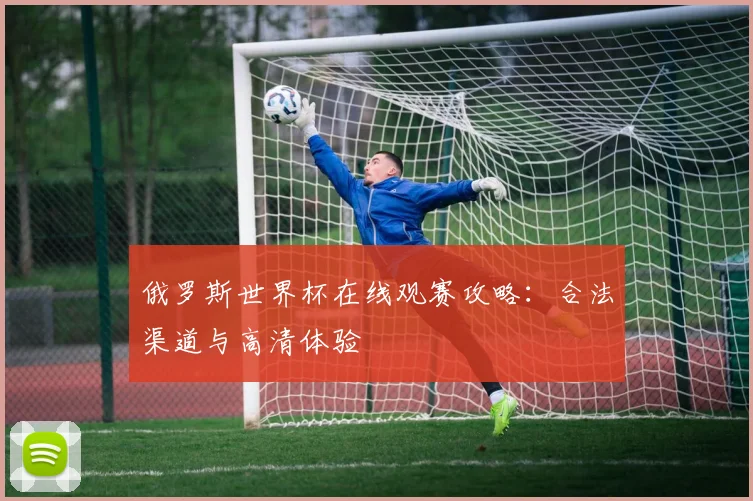 俄罗斯世界杯在线观赛攻略：合法渠道与高清体验
