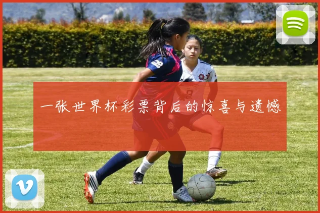 一张世界杯彩票背后的惊喜与遗憾