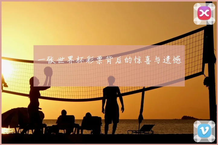 一张世界杯彩票背后的惊喜与遗憾