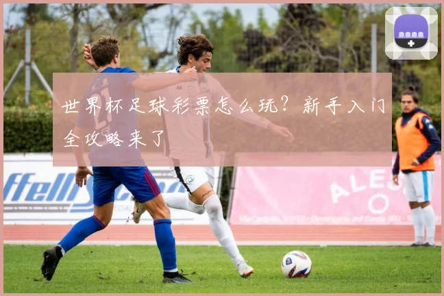 世界杯足球彩票怎么玩？新手入门全攻略来了