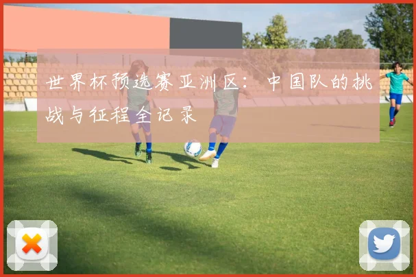 世界杯预选赛亚洲区：中国队的挑战与征程全记录