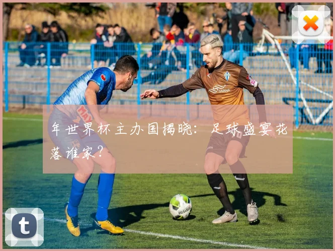 年世界杯主办国揭晓:足球盛宴花落谁家?