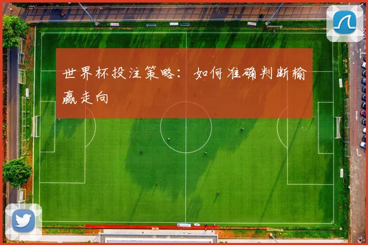 世界杯投注策略：如何准确判断输赢走向