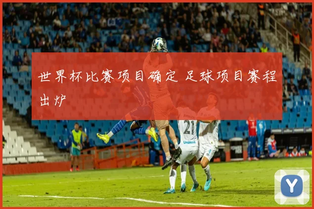 世界杯比赛项目确定 足球项目赛程出炉