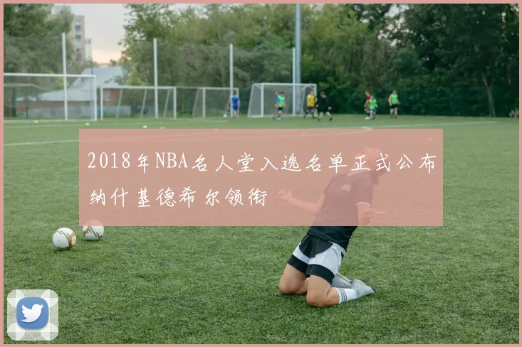 2018年NBA名人堂入选名单正式公布纳什基德希尔领衔