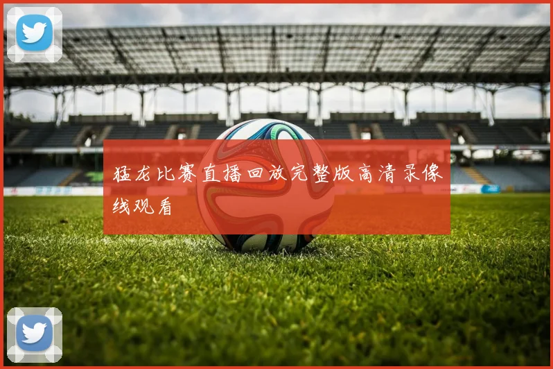 猛龙比赛直播回放完整版高清录像线观看