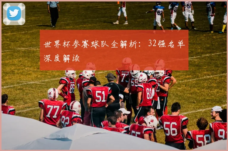 世界杯参赛球队全解析：32强名单深度解读