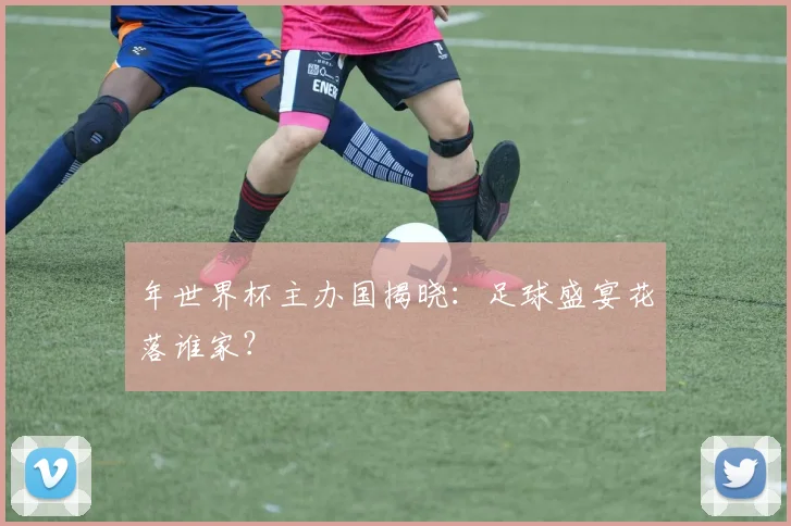 年世界杯主办国揭晓：足球盛宴花落谁家？
