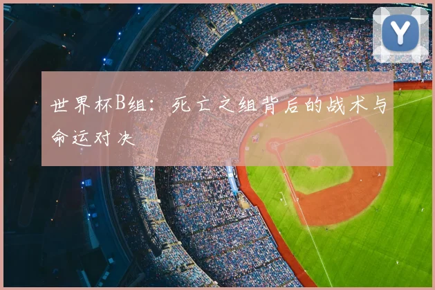 世界杯B组:死亡之组背后的战术与命运对决