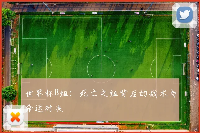 世界杯B组：死亡之组背后的战术与命运对决