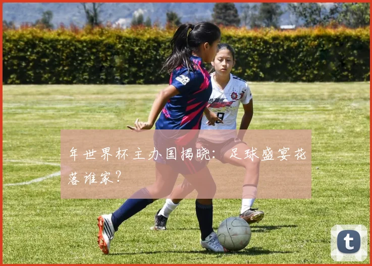 年世界杯主办国揭晓:足球盛宴花落谁家?